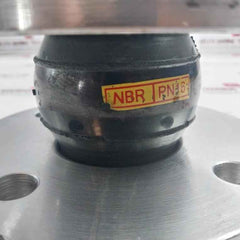 Din Pn16 Dn50 Flex Expansion Joint Flange