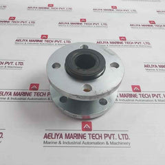 Din Pn16 Dn50 Flex Expansion Joint Flange