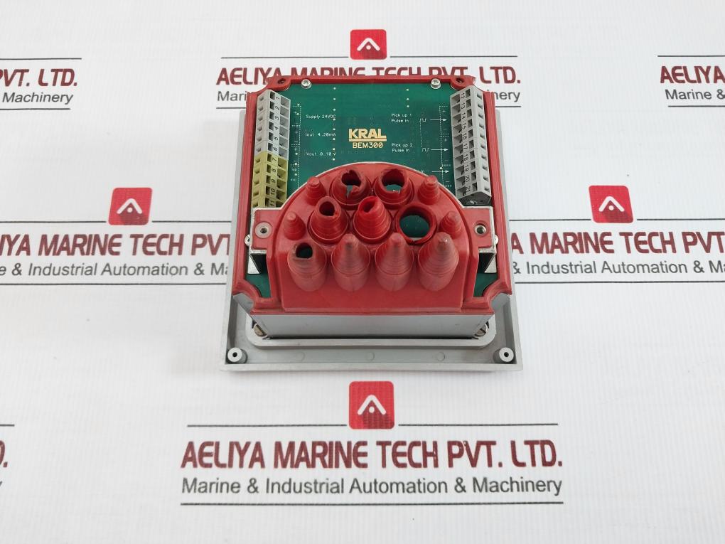 Display Processing Unit Bem300 Kral 24Vdc 4-20Ma