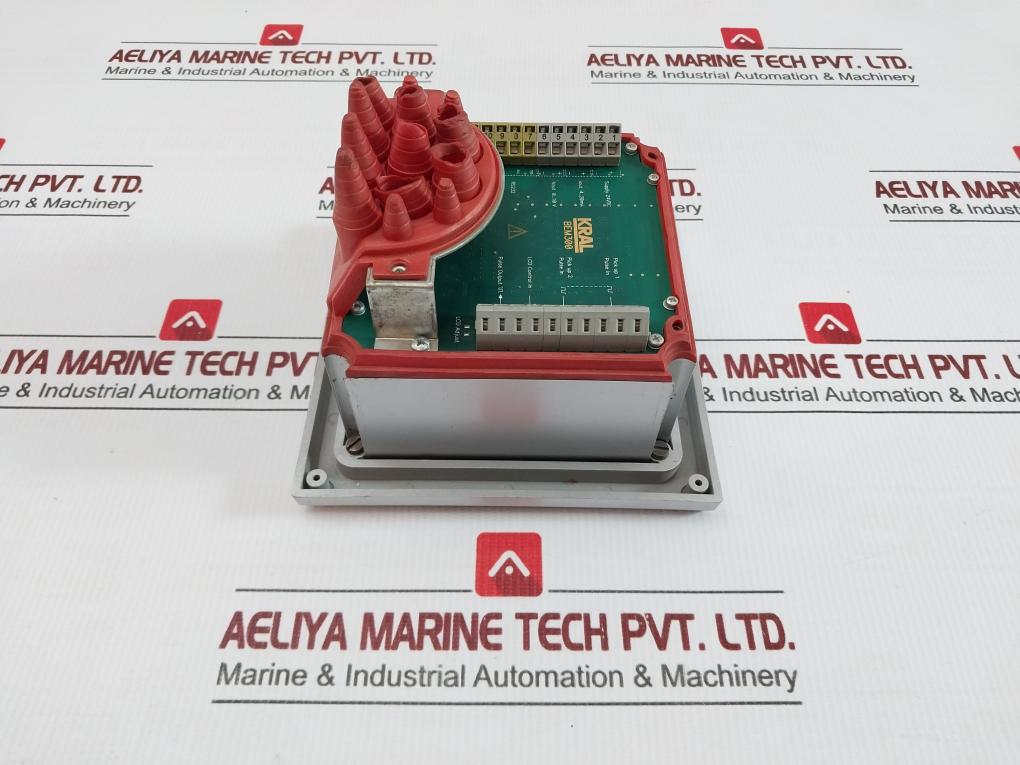 Display Processing Unit Bem300 Kral 24Vdc 4-20Ma