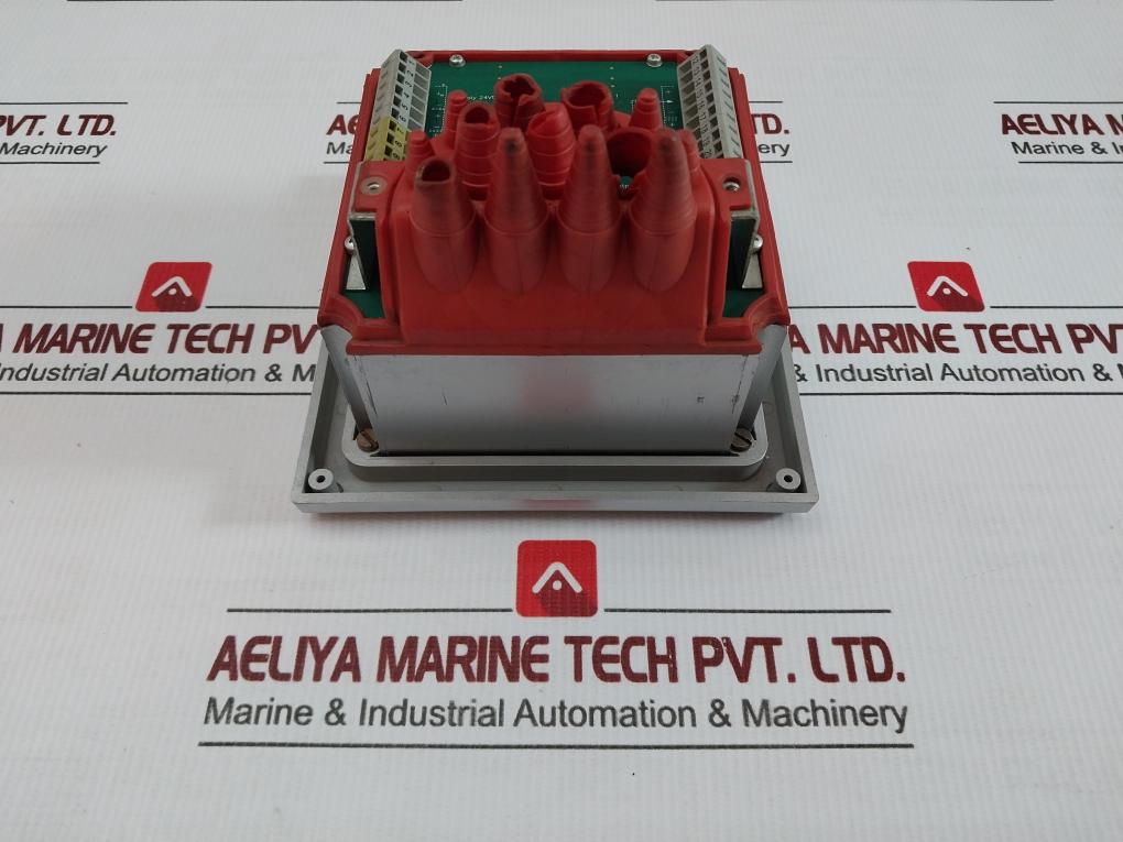 Display Processing Unit Bem300 Kral 24Vdc 4-20Ma