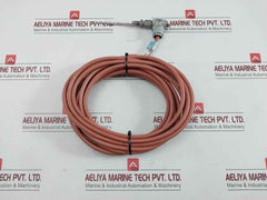 Dittmer Air Control Temperature Sensor 1Xpt100 206D