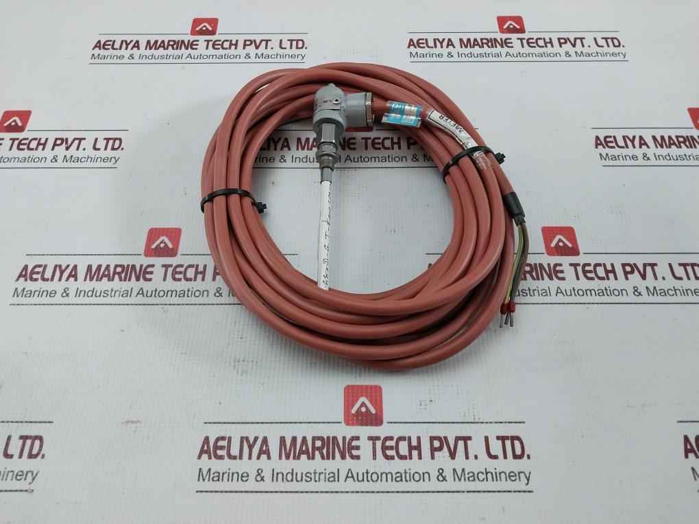 Dittmer Air Control Temperature Sensor 1Xpt100 206D