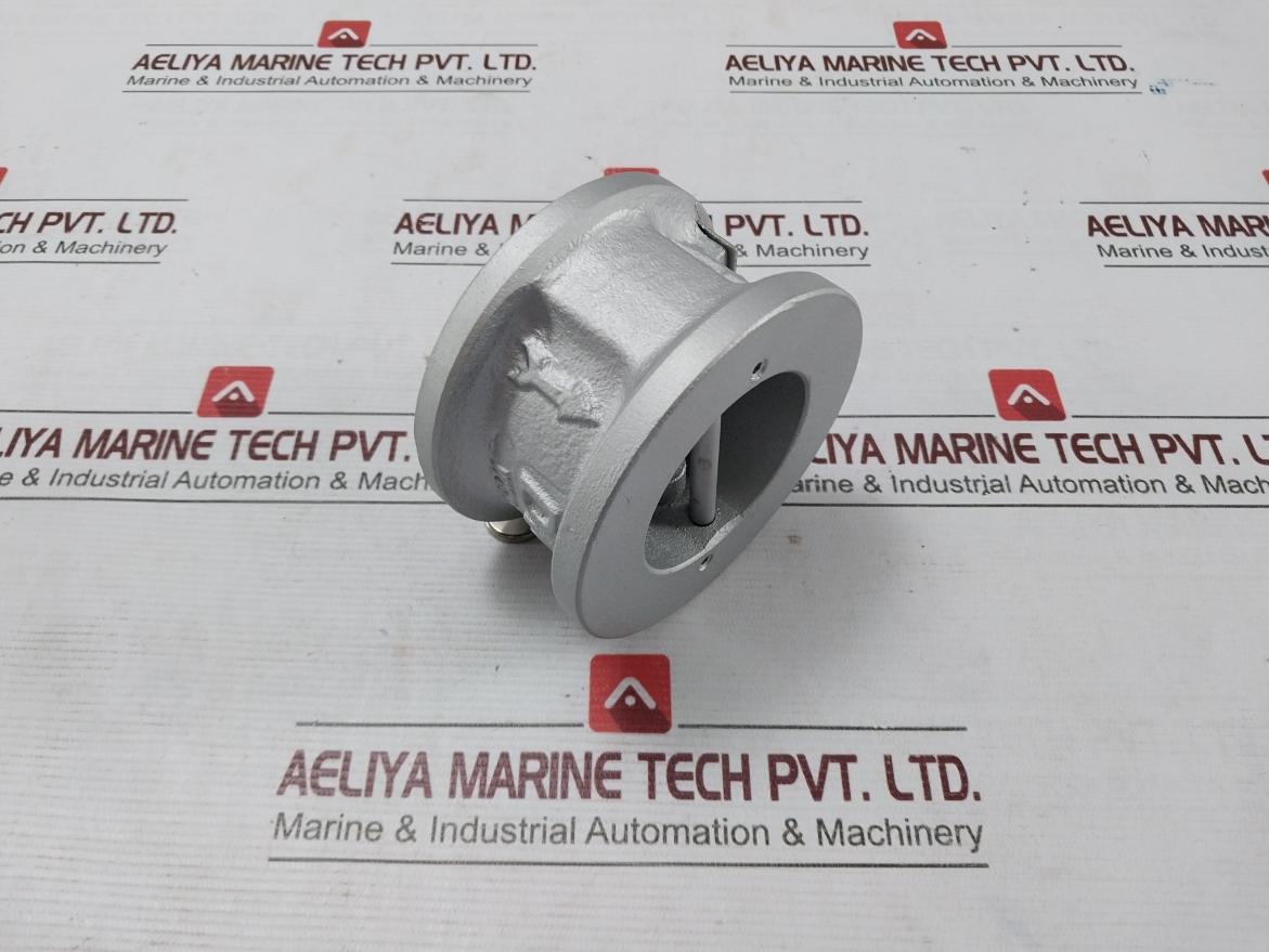 Dk Valve Wcb/B6 2/Nbr Cryogenic Dual Plate Check Valve 2