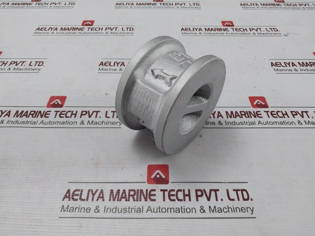 Dk Valve Wcb/B6 2/Nbr Cryogenic Dual Plate Check Valve 2