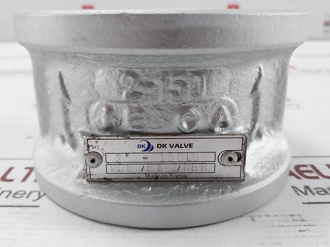 Dk Valve Wcb/B6 2/Nbr Cryogenic Dual Plate Check Valve 2