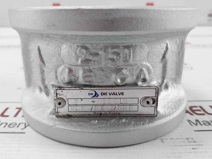 Dk Valve Wcb/B6 2/Nbr Cryogenic Dual Plate Check Valve 2