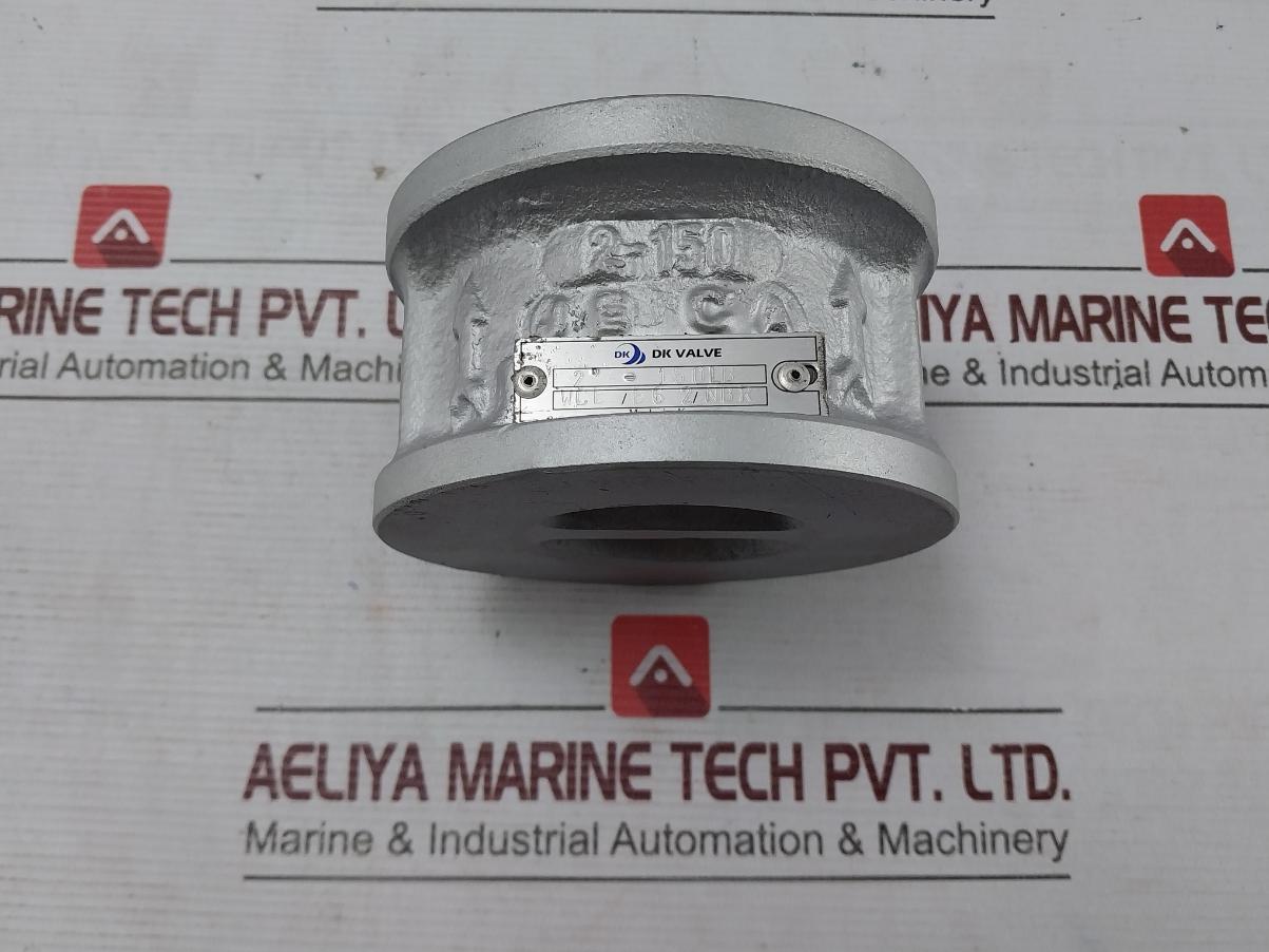 Dk Valve Wcb/B6 2/Nbr Cryogenic Dual Plate Check Valve 2