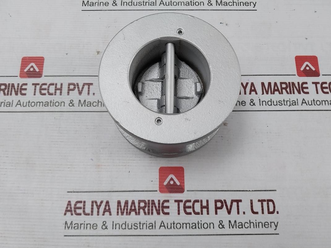 Dk Valve Wcb/B6 2/Nbr Cryogenic Dual Plate Check Valve 2