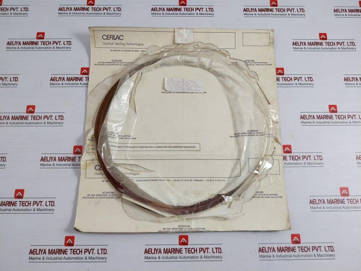 Dn-450 Metallic Seal Gasket Cefilac