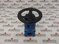Dn50 Avk Knife Gate Valve Gjs400