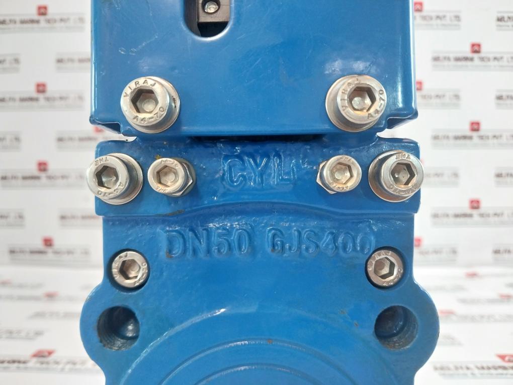 Dn50 Avk Knife Gate Valve Gjs400
