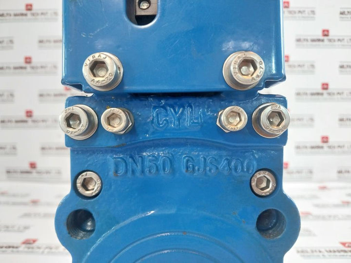 Dn50 Avk Knife Gate Valve Gjs400