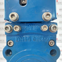 Dn50 Avk Knife Gate Valve Gjs400