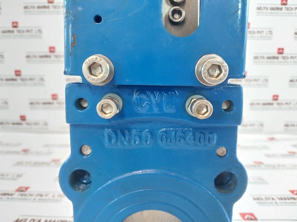 Dn50 Avk Knife Gate Valve Gjs400