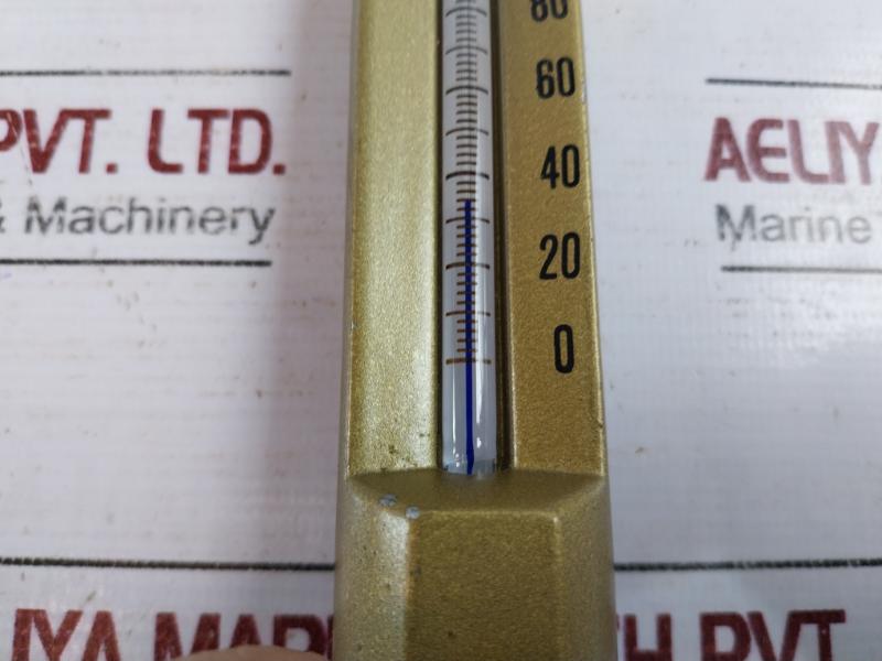 Dongjin Intec 0-150°C Industrial Thermometer