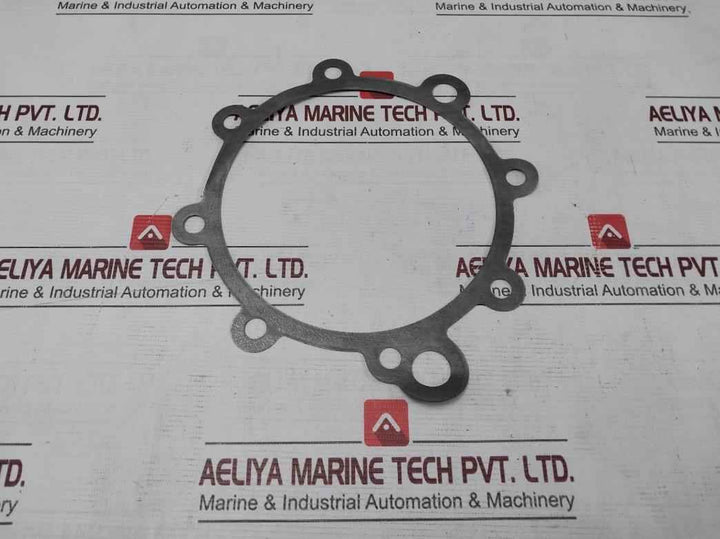 Donit Tesnit Ba-s Gasket 0.3Mm 2353-166-qrs