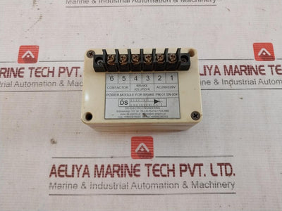 Ds-electro Engineering Pm-01 Electric Power Module Ac200/220V