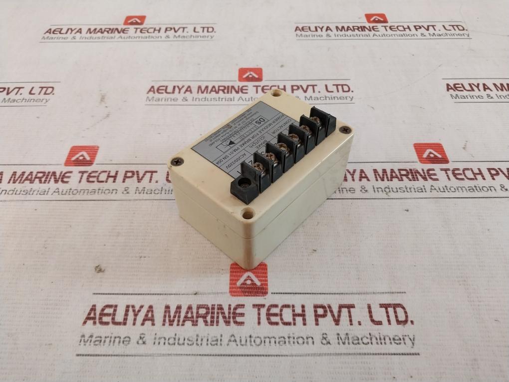 Ds-electro Engineering Pm-01 Electric Power Module Ac200/220V