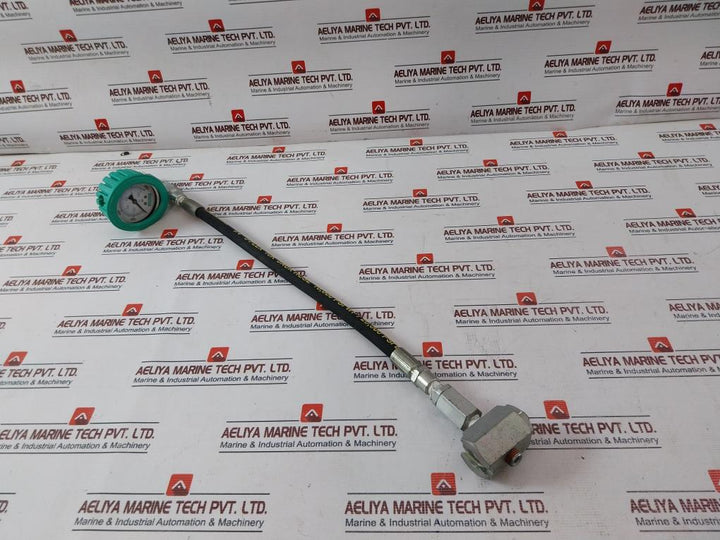 Dualco 11020 Hydraulic Grease Guns Set 103746 Gc03=4X8 15000 Psi