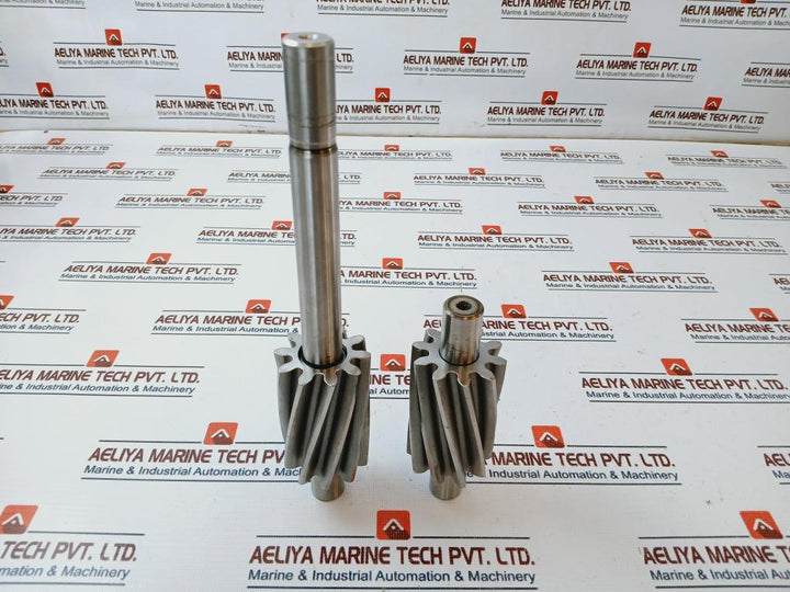 Dudek Pumpen Gwsk-model I/b Gear Wheel & Shaft Kit