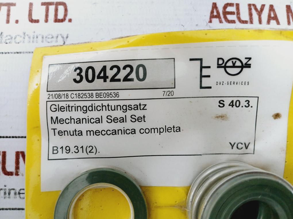 Dvz 304220 Mechanical Seal Set C182538