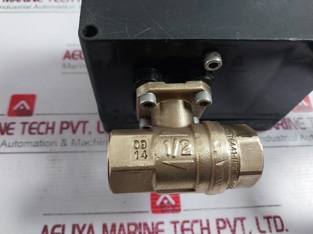 Dynaquip Controls Cw617N Drainmaster Timed Drain Valve Trim-rptfe-400 Cwp-bs 1/2