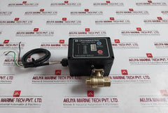 Dynaquip Controls Cw617N Drainmaster Timed Drain Valve Trim-rptfe-400 Cwp-bs 1/2