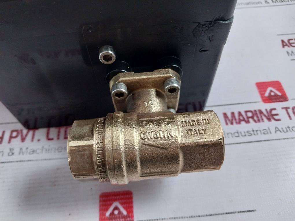 Dynaquip Controls Cw617N Drainmaster Timed Drain Valve Trim-rptfe-400 Cwp-bs 1/2