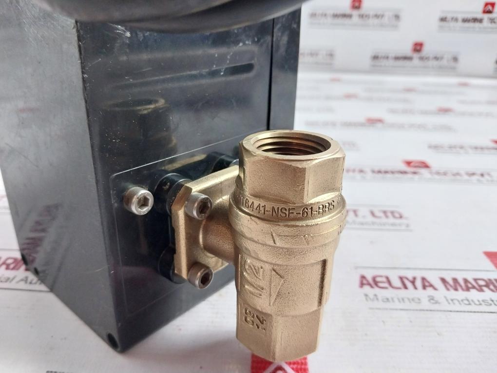 Dynaquip Controls Cw617N Drainmaster Timed Drain Valve Trim-rptfe-400 Cwp-bs 1/2