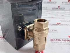 Dynaquip Controls Cw617N Drainmaster Timed Drain Valve Trim-rptfe-400 Cwp-bs 1/2