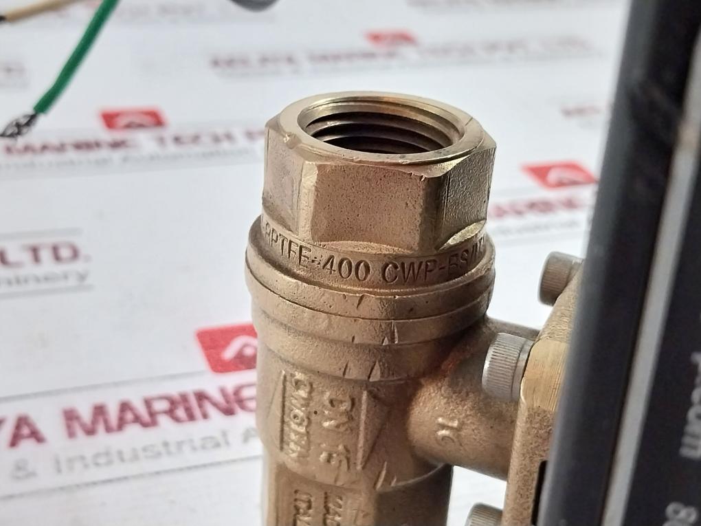 Dynaquip Controls Cw617N Drainmaster Timed Drain Valve Trim-rptfe-400 Cwp-bs 1/2