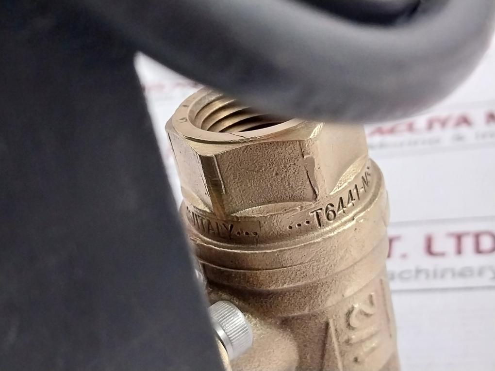 Dynaquip Controls Cw617N Drainmaster Timed Drain Valve Trim-rptfe-400 Cwp-bs 1/2