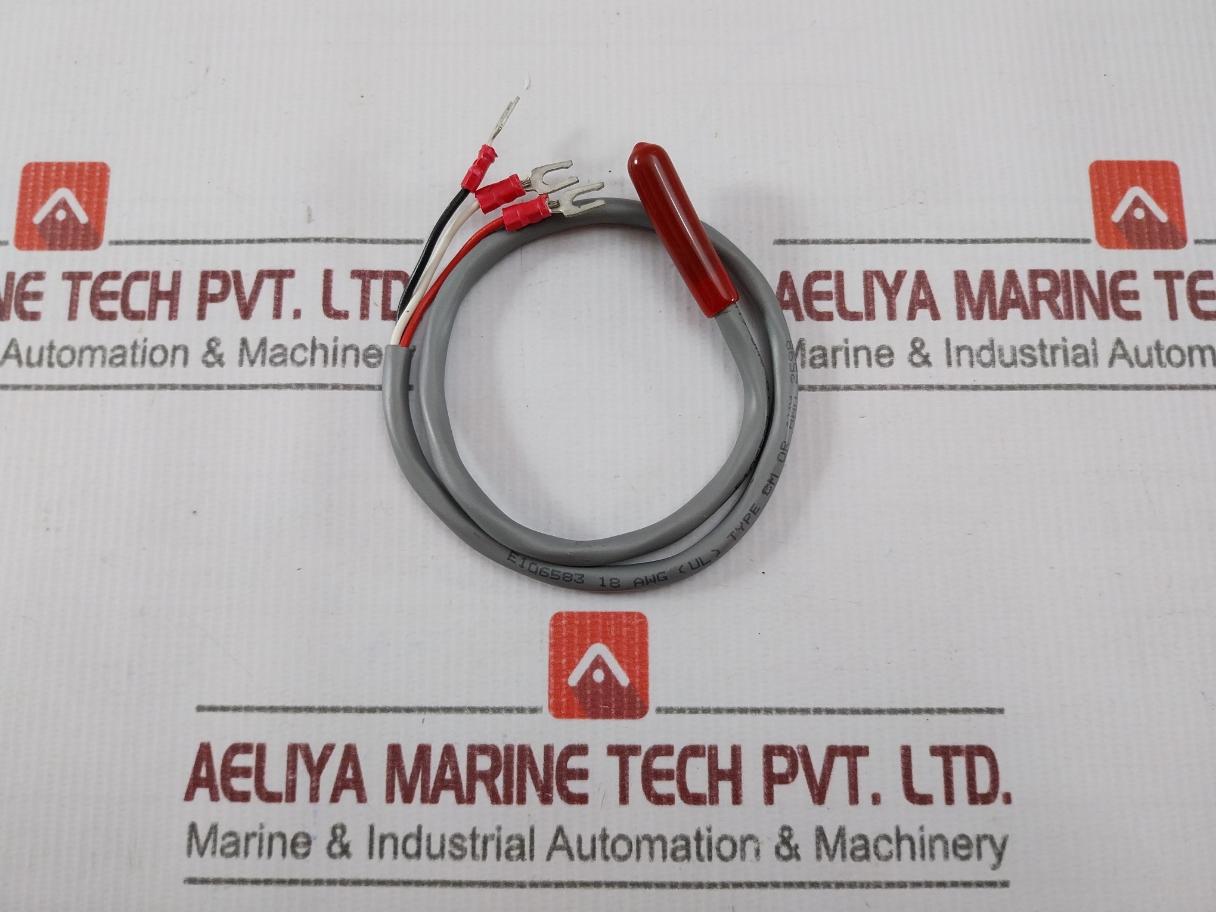 E106583 Temperature Sensor/Probe Assembly