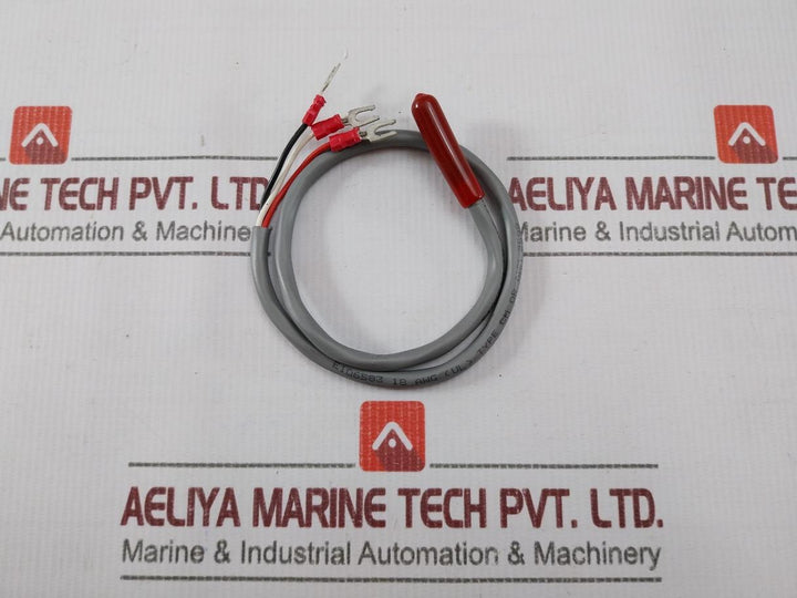 E106583 Temperature Sensor/Probe Assembly