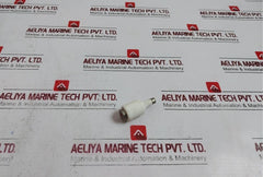E27 (Dii) Iec 269 General Purpose Bottle Shaped Fuse Gg/gl 500v 100ka
