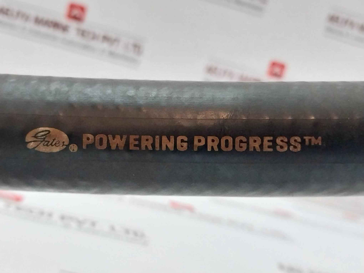 ECKEL 125158 Dump Valve Assy w/ Hoses & Cable KT20,000 SV1E-16-C-12T-24DU