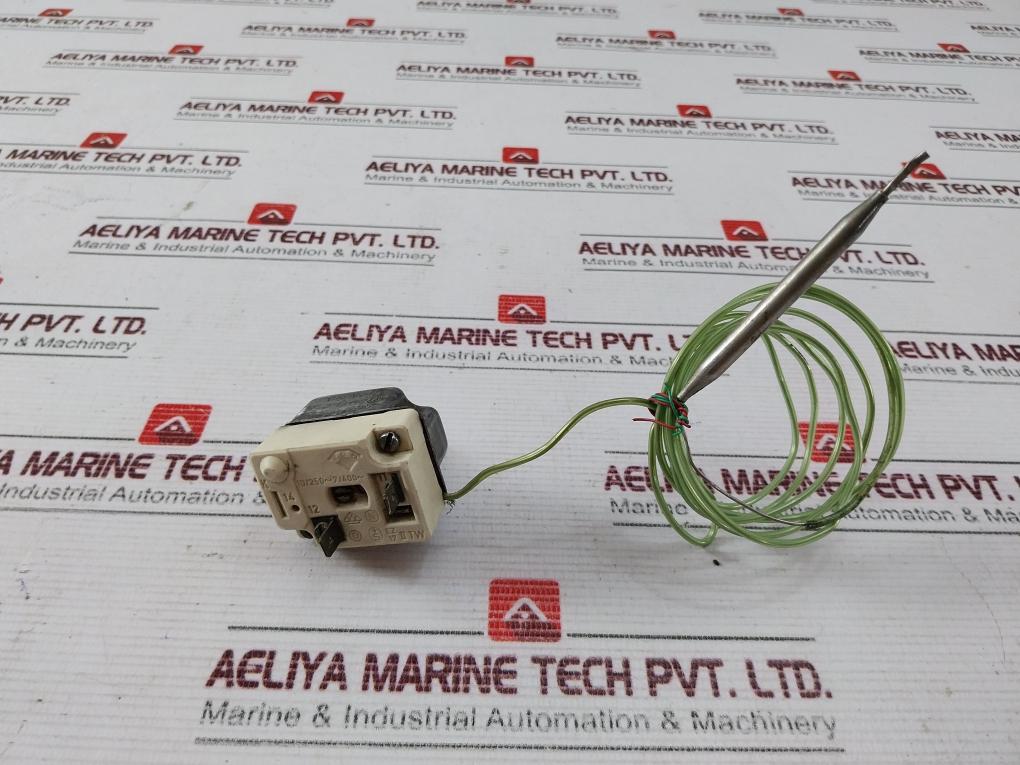 EGO 55 12524.560 Thermostat 300VAC