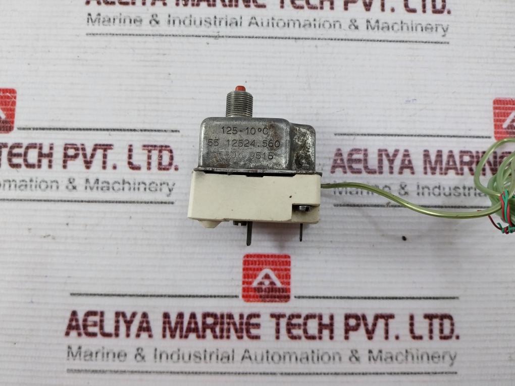 EGO 55 12524.560 Thermostat 300VAC