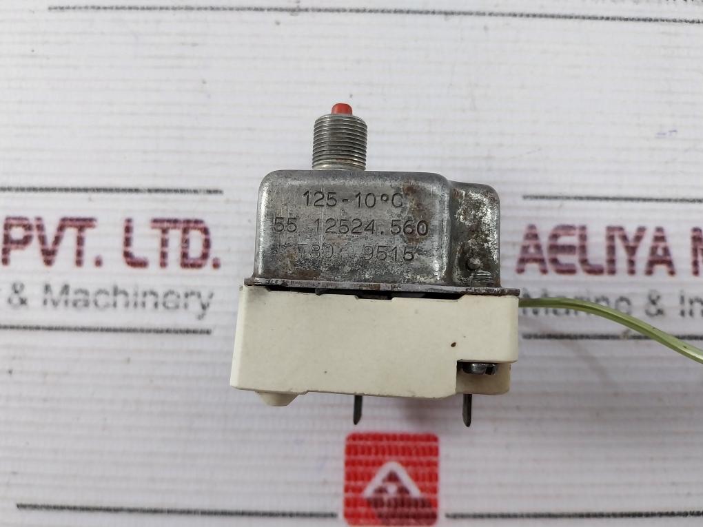 EGO 55 12524.560 Thermostat 300VAC