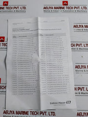 E+h Flowtec 319083-0200 D