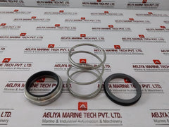 EAGLEBURGMANN Q1Q1VGG Mechanical Seal Set 1000131760