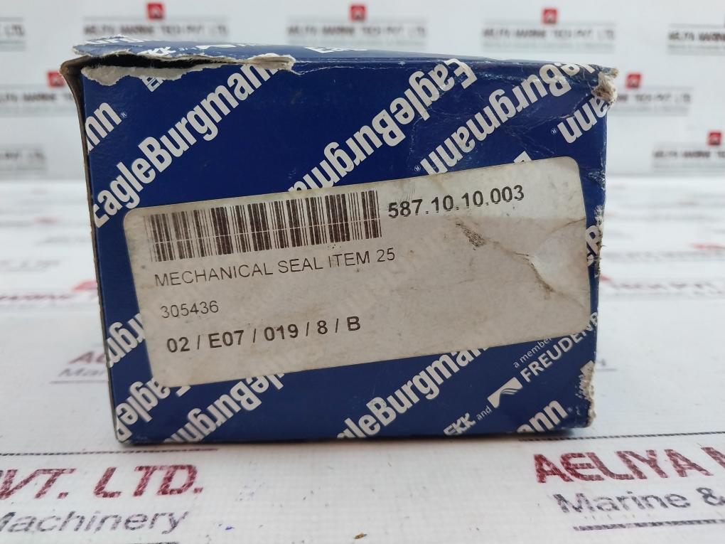 Eagleburgmann Bq1Vgg Mechanical Seal Kit Ms01_Ms6/65-g6_13509Ba0