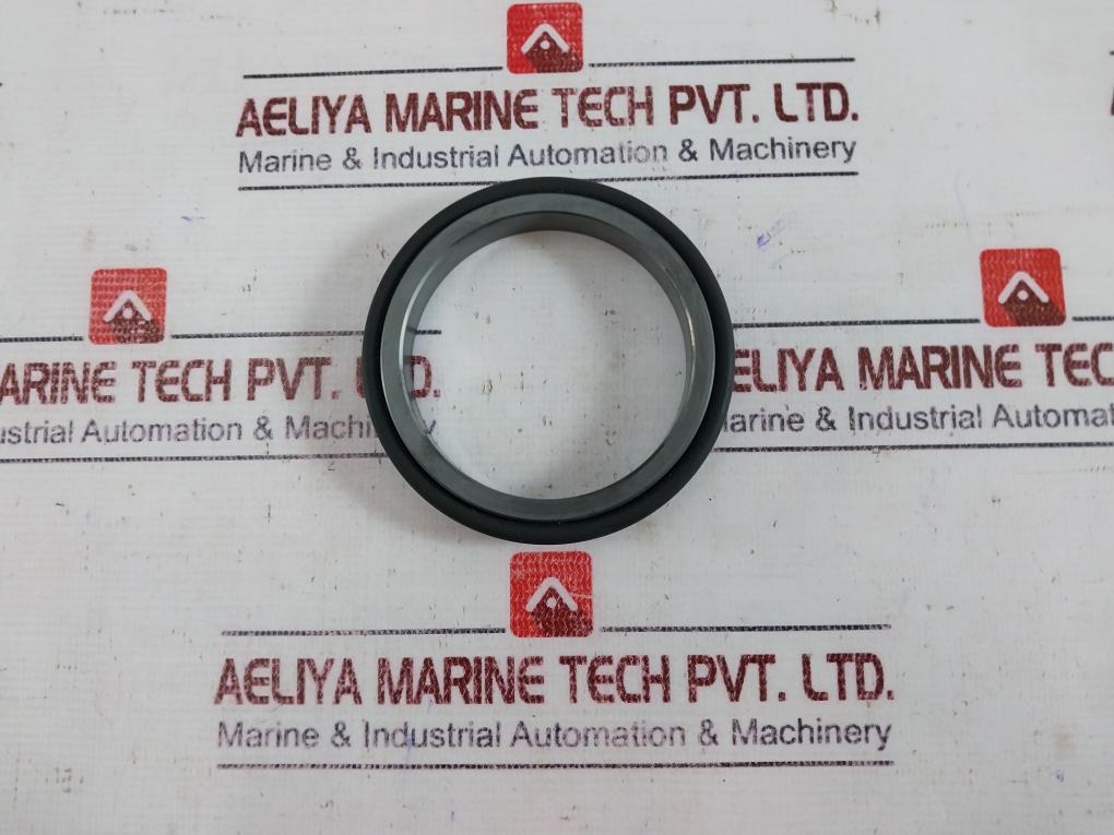 Eagleburgmann Bq1Vgg Mechanical Seal Kit Ms01_Ms6/65-g6_13509Ba0