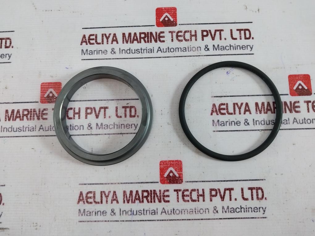 Eagleburgmann Bq1Vgg Mechanical Seal Kit Ms01_Ms6/65-g6_13509Ba0