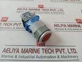 Eao 08.950.0 Self Resetting Push Button Switch With Lamp Block A039922 Ac500V Dc