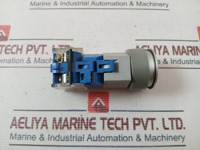 Eao 08.950.0 Self Resetting Push Button Switch With Lamp Block A039922 Ac500V Dc
