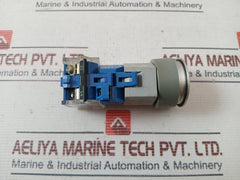 Eao 08.950.0 Self Resetting Push Button Switch With Lamp Block A039922 Ac500V Dc