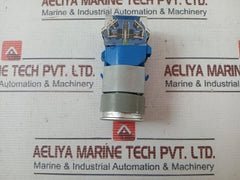 Eao 08.950.0 Self Resetting Push Button Switch With Lamp Block A039922 Ac500V Dc