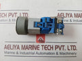 Eao 08.950.0 Self Resetting Push Button Switch With Lamp Block A039922 Ac500V Dc